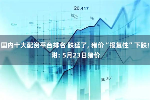 国内十大配资平台排名 跌猛了, 猪价“报复性”下跌! 附: 5月23日猪价